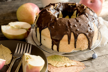Homemade biscuit with apples and chocolate