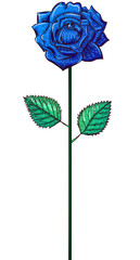 One blue rose on the stalk