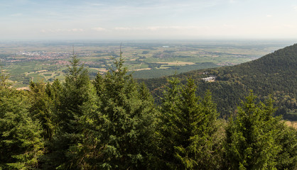 Fototapeta premium La plaine d'Alsace depuis le mont Ste Odile