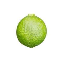 Lime on white background