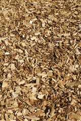 Rindenmulch16DG013.JPG
