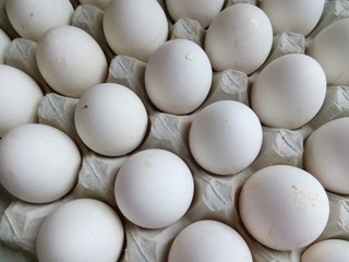 White chicken eggs in a cardboard tray gray