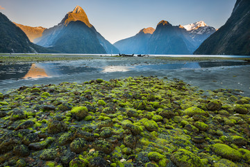 Milford sound New Zealand