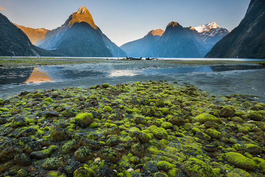 Milford sound New Zealand