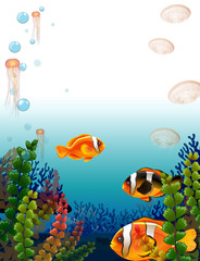 Underwater scene with fish swimming