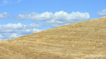 Crete senesi, Assisi, Toscana, Asciano