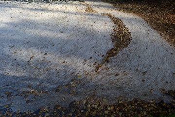 Natural background autumn leaves in the water foam river