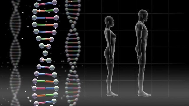 DNA Strand images.