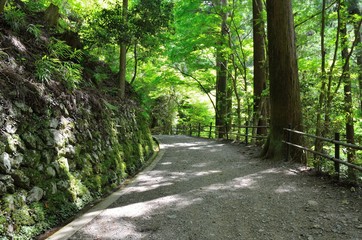 京都　鞍馬寺