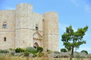 Fototapeta na wymiar Castel del Monte, Puglia 