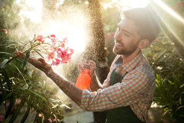 Young handsome gardener smiling, watering, taking care of flowers. Flare sunlight on background.