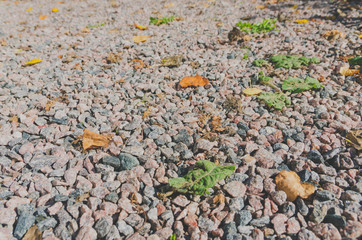 texture and background Small colored gravel rock stone.