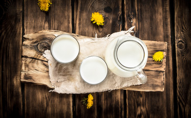Milk and dandelion flowers on the Board.