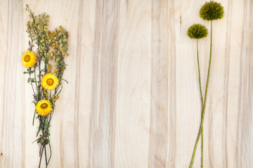 Minimal collage composition of the plants at wooden desk