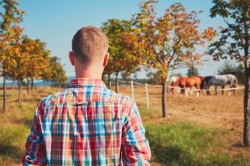 Summer time in nature