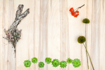 Dry flowers and herbs collage composition at wooden desk
