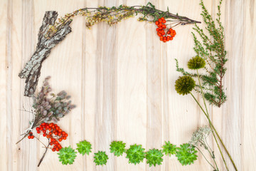 Dry flowers and herbs collage compoition at wooden desk 