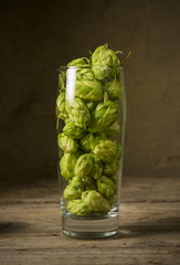 Glass of beer with hops and barley on the wooden table