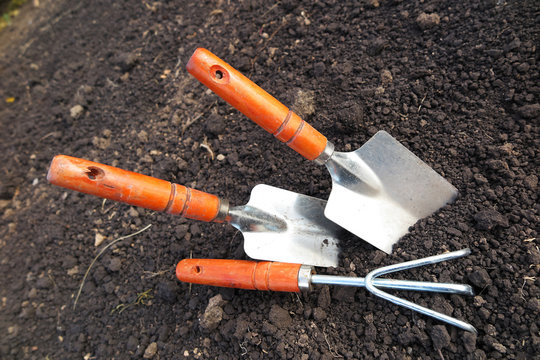 Garden major and minor hand trowels and a flower rake in the loosen soil in the garden