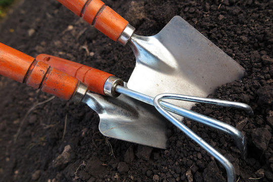 Garden major and minor hand trowels and a flower rake in the loosen soil in the garden