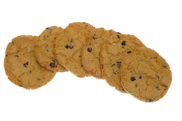 Chocolate chip cookies on white background