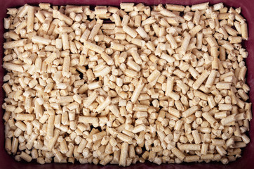 Cat tray filler close-up