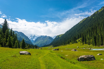 Fototapeta na wymiar Mountain landscape with snow-capped peaks, Kyrgyzstan.