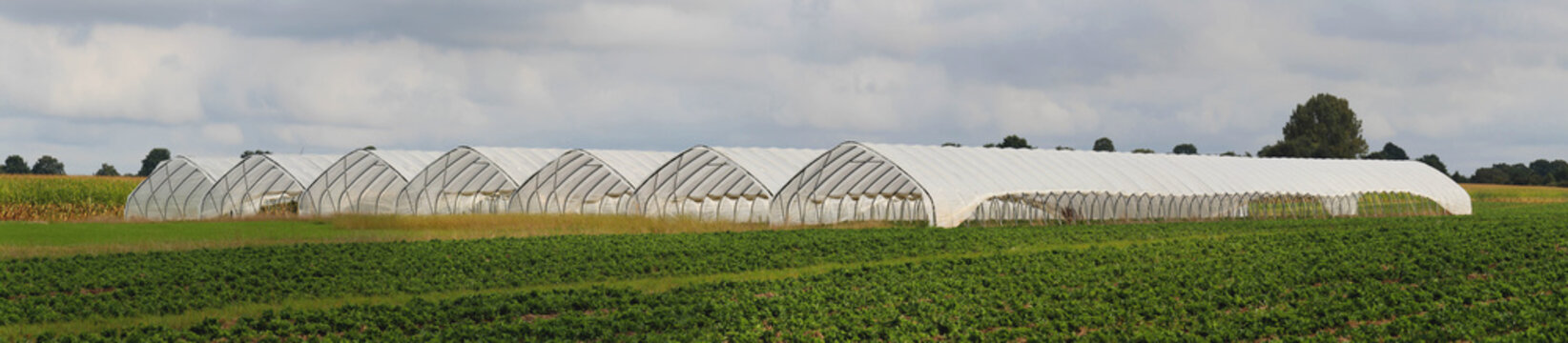 Panorama Foliengewächshaus für Obst- und Gemüseanbau