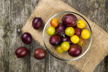 Mirabellen und Pflaumen in einer Schüssel - Obst