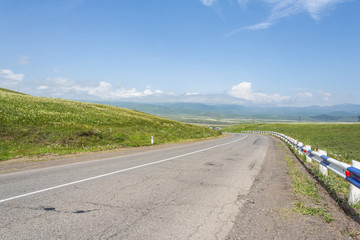 blooming meadows in the hills on a sunny day