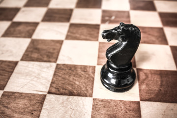 chess knight on the Board