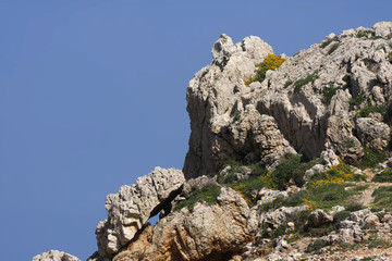 spanische Mittelmeerküste mit Strand und Booten