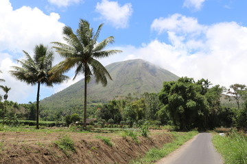 Fototapeta na wymiar Paysage volcanique indonésien en Sulawesie