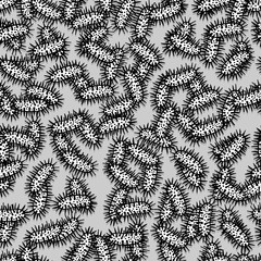 particles and molecules