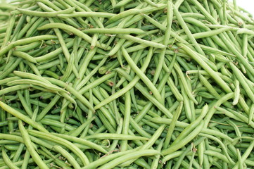 Fagiolini verdi 