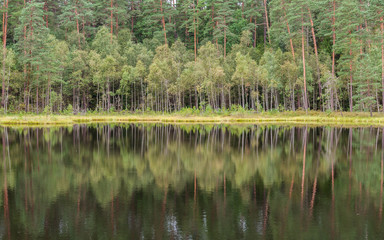 Obraz premium Wasserspieglungen auf masurischen Seen; Polen