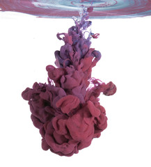 Purple paint in water on white background