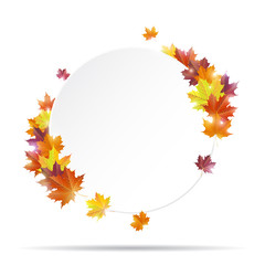 White round paper banner with vivid autumn maple leaves. Vector illustration.