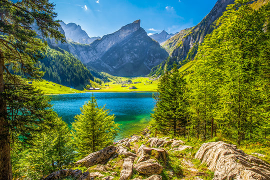 Fototapeta Tourquise clear Seealpsee with the Swiss Alps (mountain Santis) in the background, Appenzeller Land, Switzerland