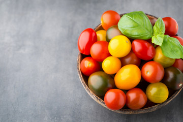 Tomatoes on the gray background. Colorful tomatoes, red tomatoes