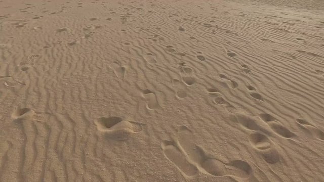 Sabbia del deserto e dune, granelli di sabbia, dune modellate dal vento, Corralejo, parco naturale. Tramonto. Fuerteventura. Isole Canarie (Ultra High Definition, 4K, 2160P, 3840x2160)