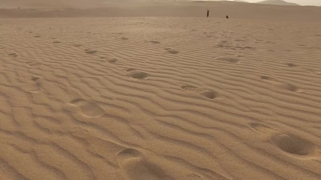 Sabbia del deserto e dune, granelli di sabbia, dune modellate dal vento, Corralejo, parco naturale. Tramonto. Fuerteventura. Isole Canarie (Ultra High Definition, 4K, 2160P, 3840x2160)