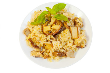  hot risotto with mushrooms on white plate on white background