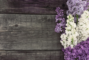 Lilac blossom on rustic wooden background with empty space for g