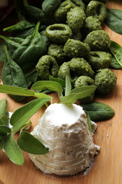 Gnocchi with spinach and ricotta với rau bina v&agrave; met spinazie en spinaci Ẩm thực &Yacute; Kuchnia włoska Cucina italiana Italiaanse keuken 이탈리아 요리 義大利飲食 Olasz gasztron&oacute;mia Italian cuisine