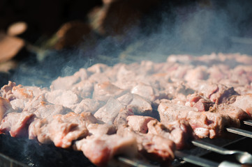 Beef and pork steak on the grill raw meat