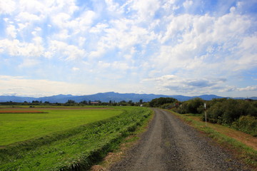 Banks of the Ishikari River