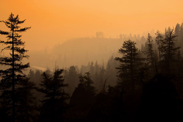 Dusk time in Yellowstone national park