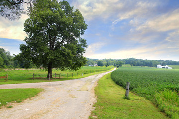 Fototapeta na wymiar Rural landscape in Indiana