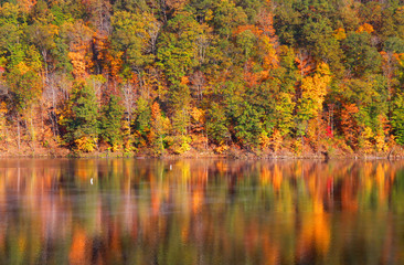 Autumn tree reflections under evening sun light